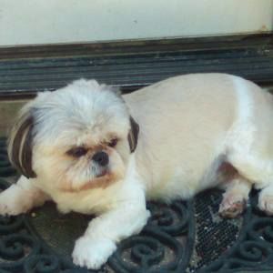 Meet your Posher, Karen